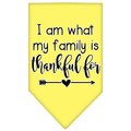 Mirage Pet Products I Am What My Family is Thankful for Screen Print BandanaYellow Large 66-435 LGYW
